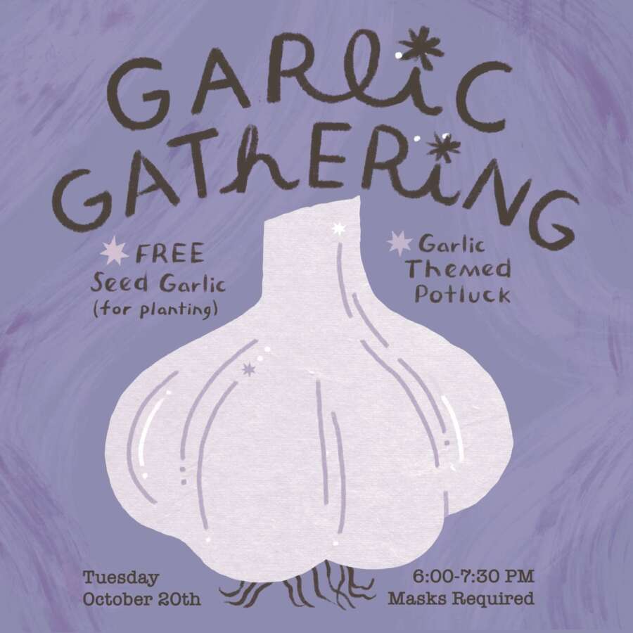Garlic Gathering