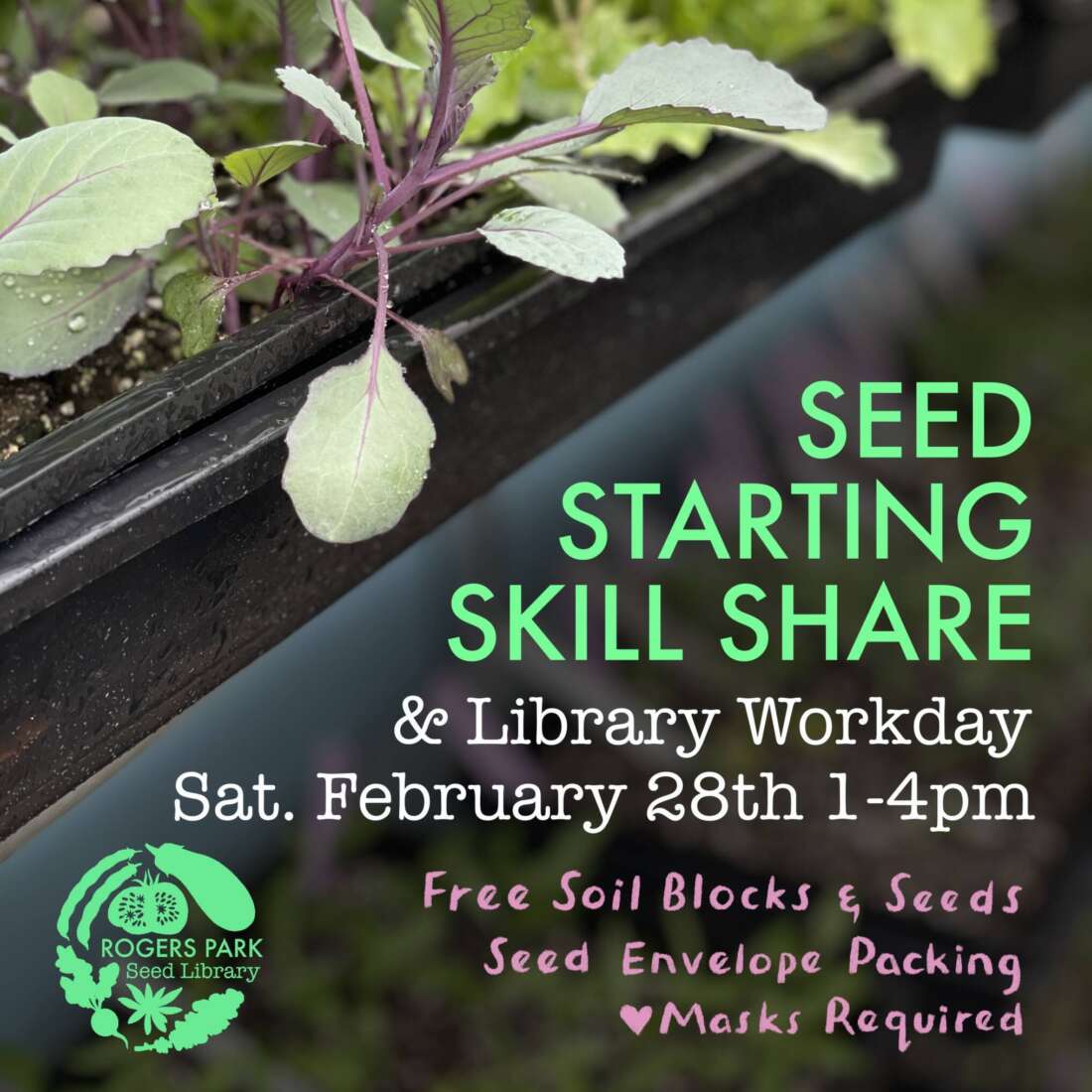 Seed Starting Skill Share