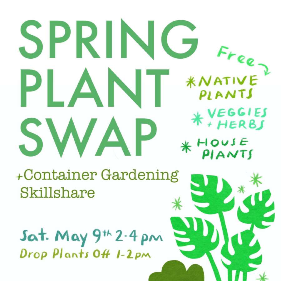 Spring Plant Swap