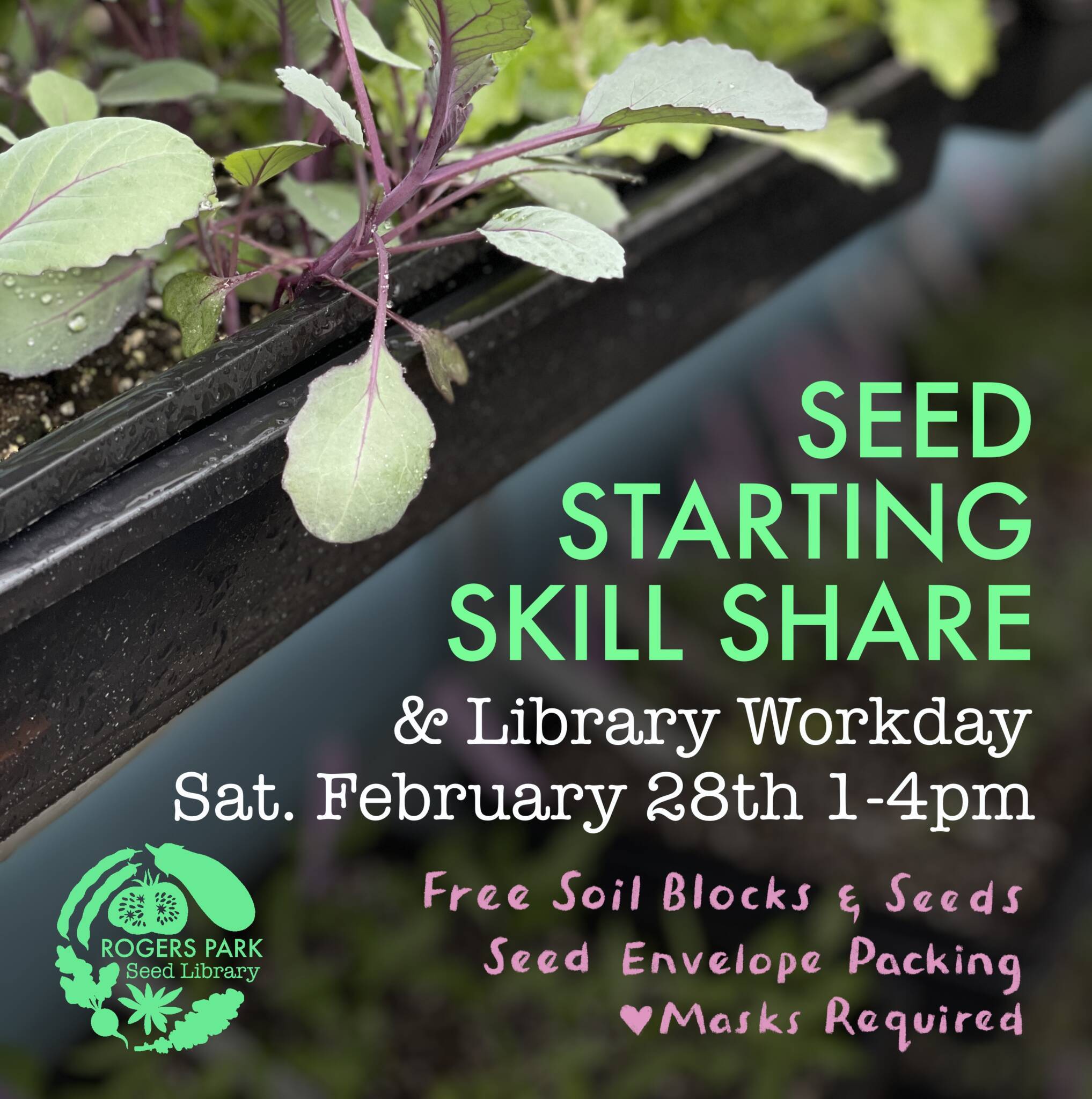 Seed Starting Skill Share