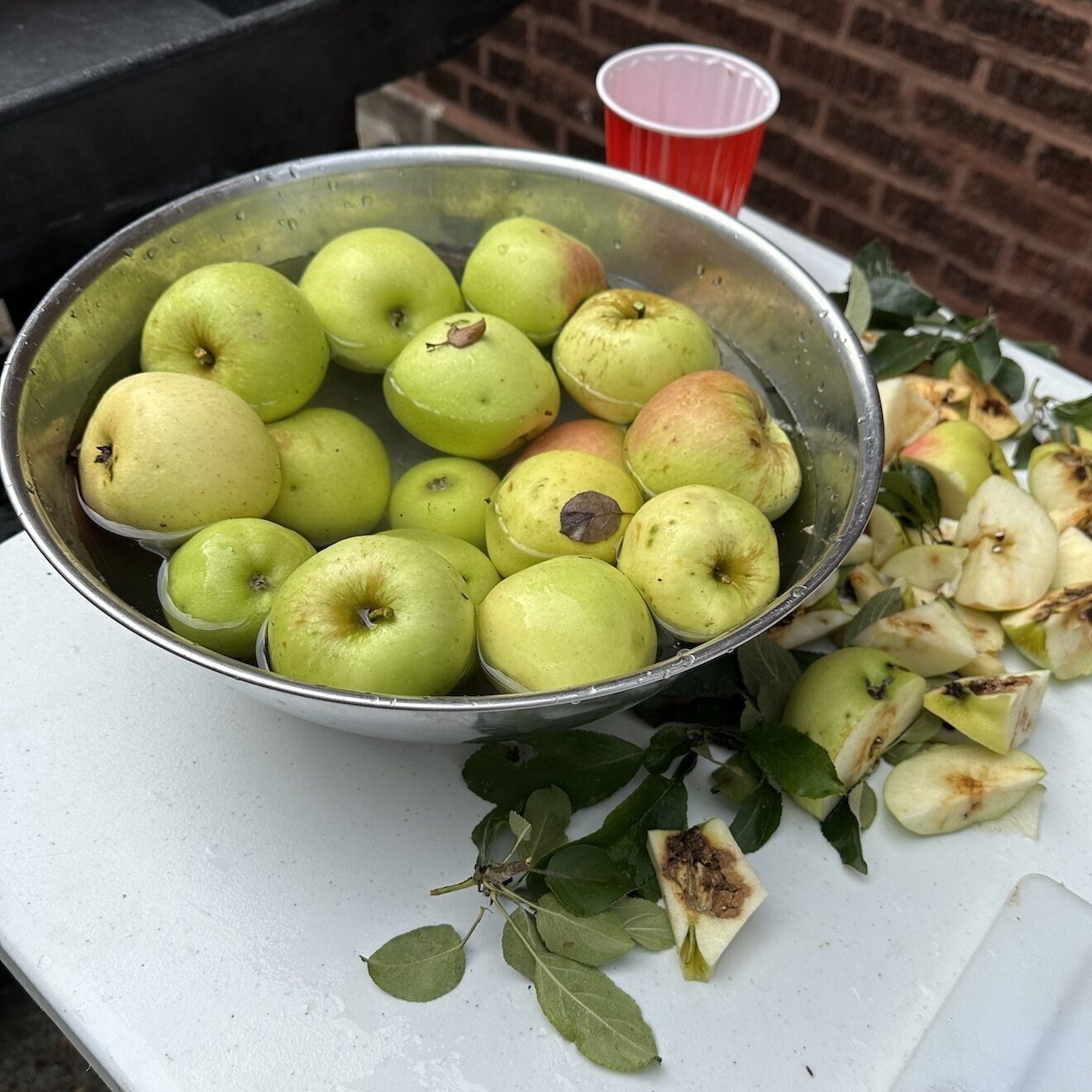 Cider Social