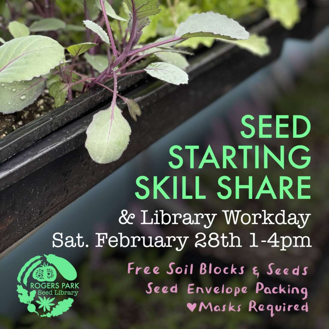Seed Starting Skill Share