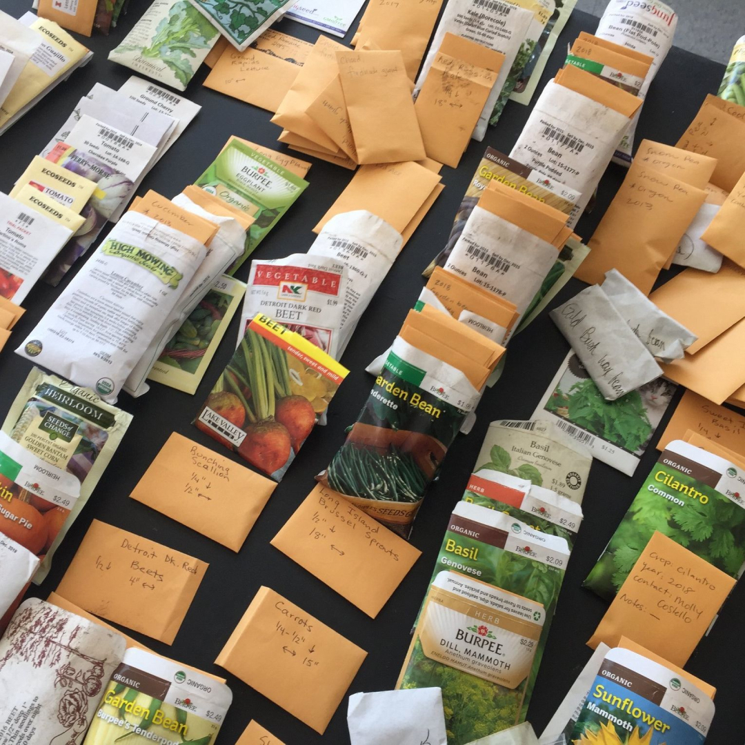 Rogers Park Seed Library